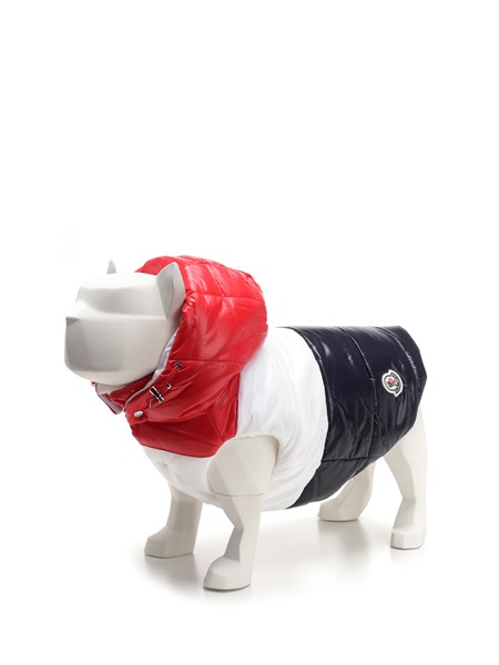 Moncler Dog Coat on Sale, UP TO 51% OFF | www.editorialelpirata.com